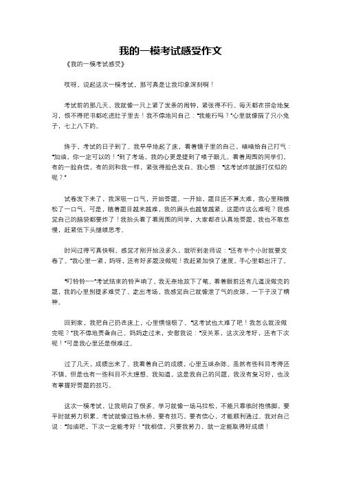 我的一模考试感受作文