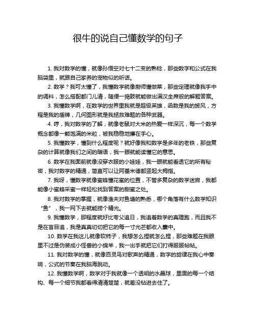 很牛的说自己懂数学的句子