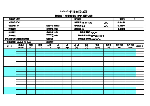 超声波热量表检测记录 模板