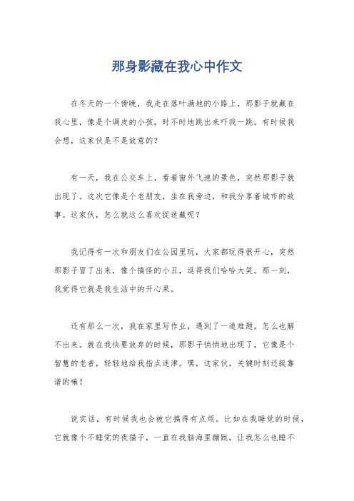 那身影藏在我心中作文