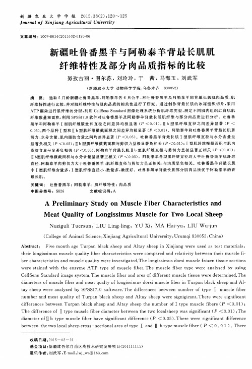 新疆吐鲁番黑羊与阿勒泰羊背最长肌肌纤维特性及部分肉品质指标的比较