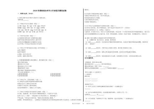 2019年湖南省永州市小升初语文模拟试卷