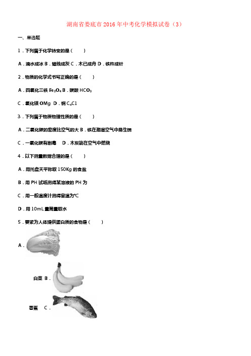 中考化学模拟试卷3含解析9