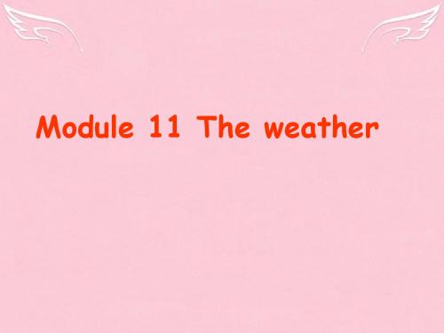 外研版八年级英语Module11 Unit 1 It may be cold tomorrow(ppt)