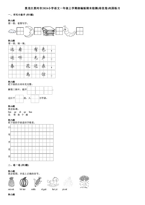 黑龙江黑河市2024小学语文一年级上学期部编版期末检测(培优卷)巩固练习