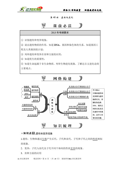 科学中考（深圳）一轮复习——第40讲 遗传与进化