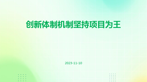 创新体制机制坚持项目为王