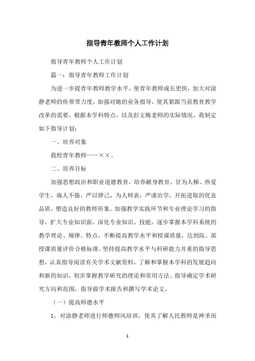 指导青年教师个人工作计划