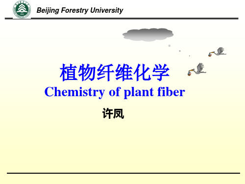 植物纤维化学第1讲绪论