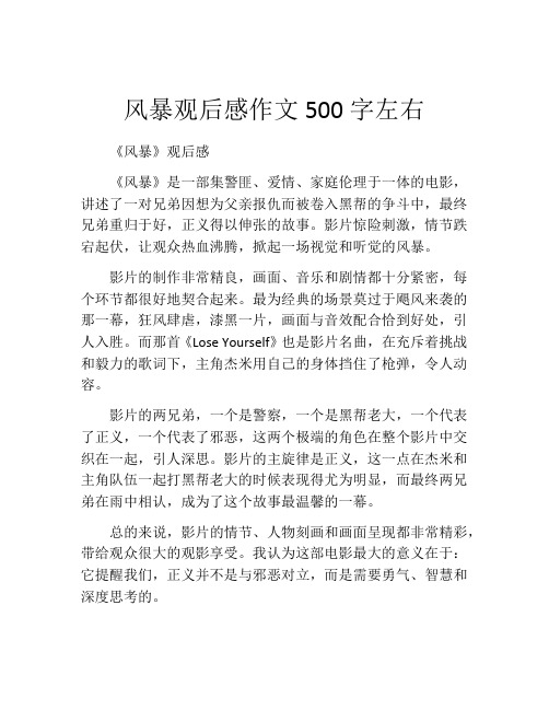 风暴观后感作文500字左右