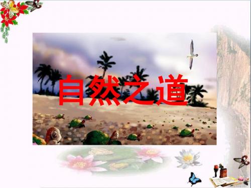 四年级语文下册第10课《自然之道》(简单学习)教学课件冀教版
