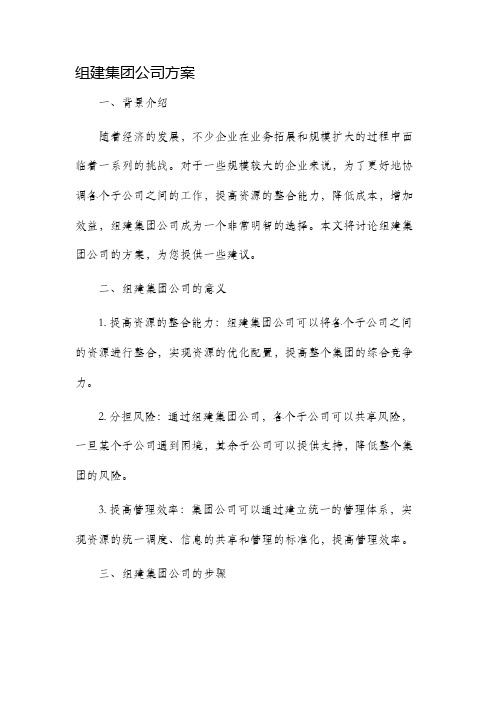 组建集团公司方案