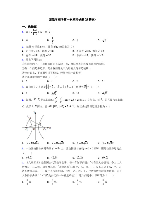 新数学高考第一次模拟试题(含答案)