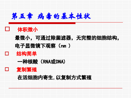 病毒的基本性状