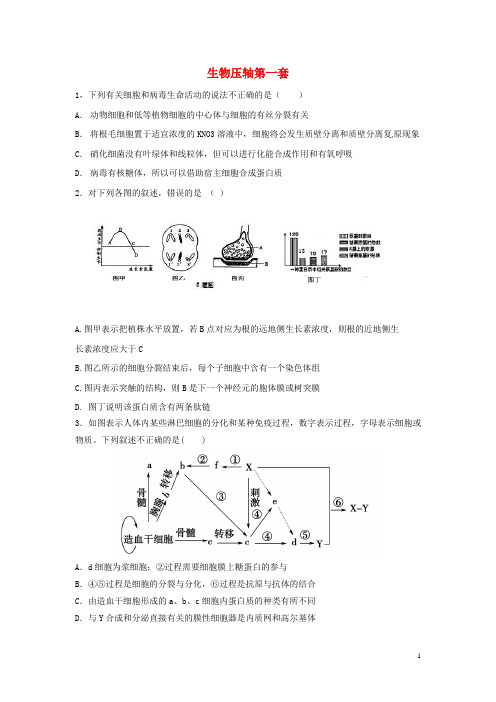 甘肃省明乐县第一中学高考生物一轮复习生物压轴试题(一)新人教版