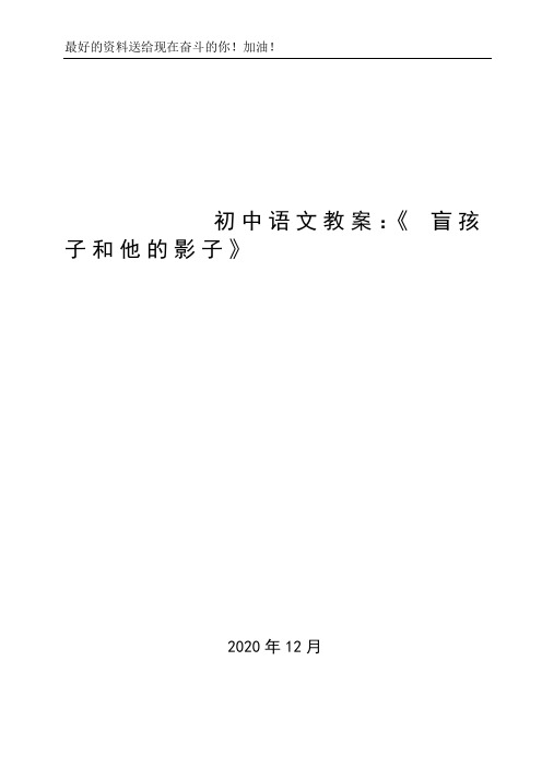 初中语文教案：《 盲孩子和他的影子》