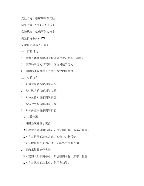 临床解剖教学实验报告