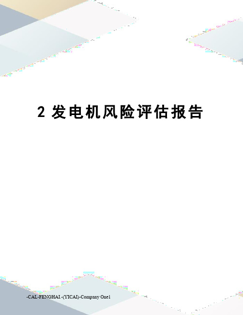 2发电机风险评估报告