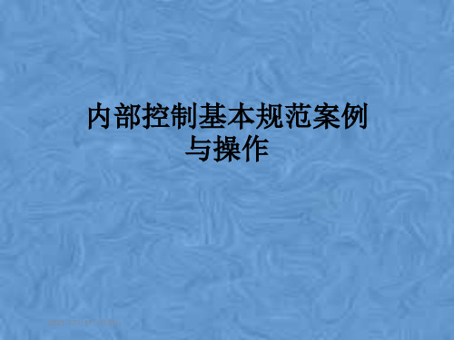 内部控制基本规范案例与操作