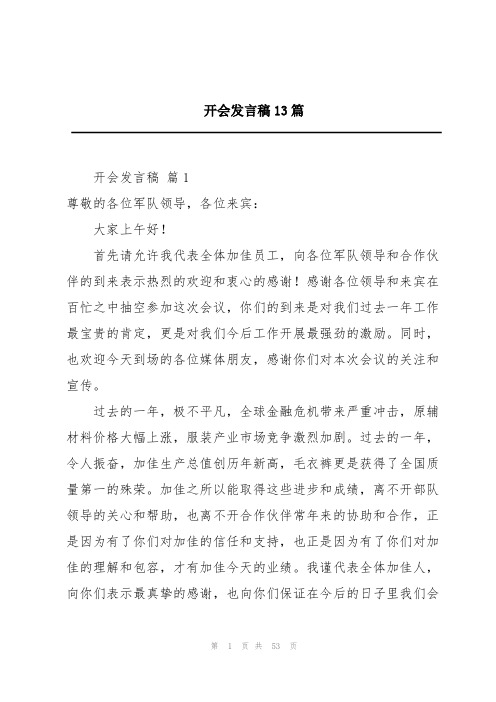 开会发言稿13篇