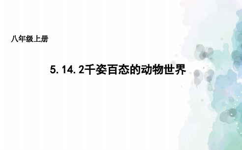 苏教版生物-八年级上册5.14.2千姿百态的动物世界 课件