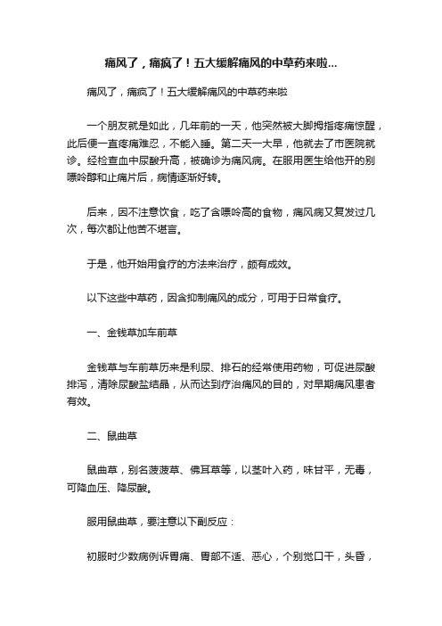 痛风了，痛疯了！五大缓解痛风的中草药来啦...