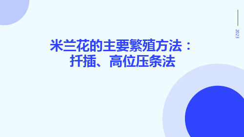 米兰花的主要繁殖方法：扦插、高位压条法