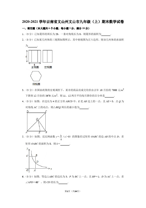 2020-2021学年云南省文山州文山市九年级(上)期末数学试卷