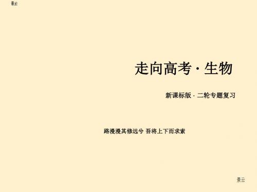 2017届高三生物二轮复习课件:专题4 第1讲 遗传的物质基础与基因表达
