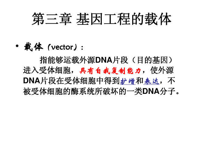 C3-1 基因工程的载体