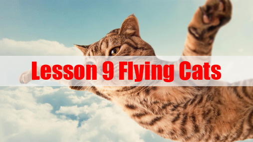 新概念英语第三册 精品课件-Lesson 9 Flying Cats共64页可编辑