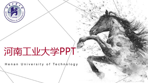 河南工业大学专用-商务风格-PPT模板3