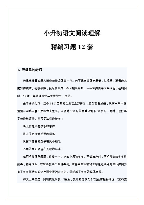 小升初语文阅读理解精编习题12套(附答案)