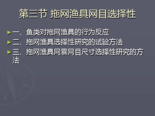 拖网渔具网目选择性PPT课件