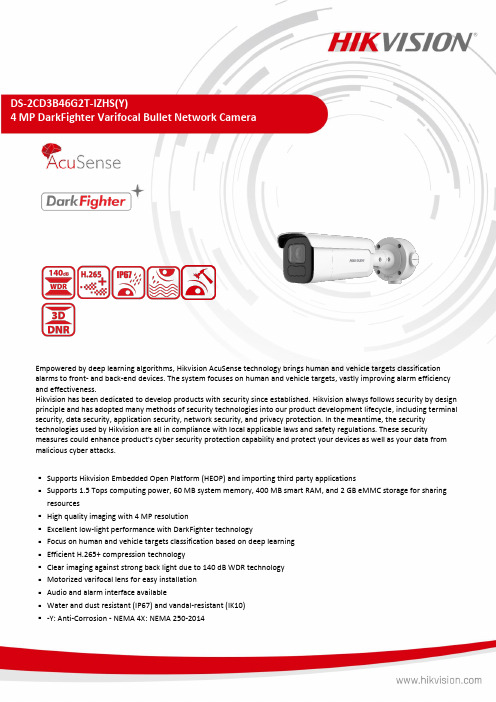 海康威视 DS-2CD3B46G2T-IZHS(Y) 4 MP DarkFighter Varifo