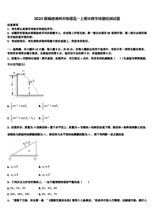 2024届福建漳州市物理高一上期末教学质量检测试题含解析