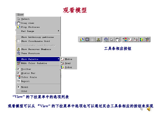 Tesseral-培训讲义5-浏览模型和计算结果PPT课件