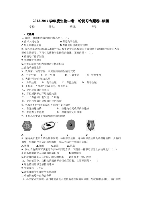 2014届中考生物精品复习专题卷:细菌(15页,考点+点评+详细解析)