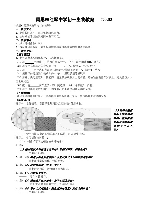 3 学习制作临时装片