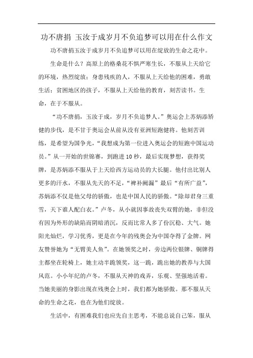 功不唐捐 玉汝于成岁月不负追梦可以用在什么作文