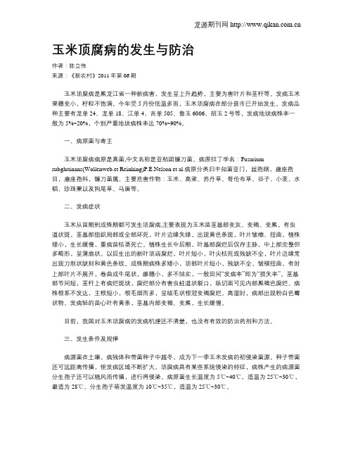 玉米顶腐病的发生与防治