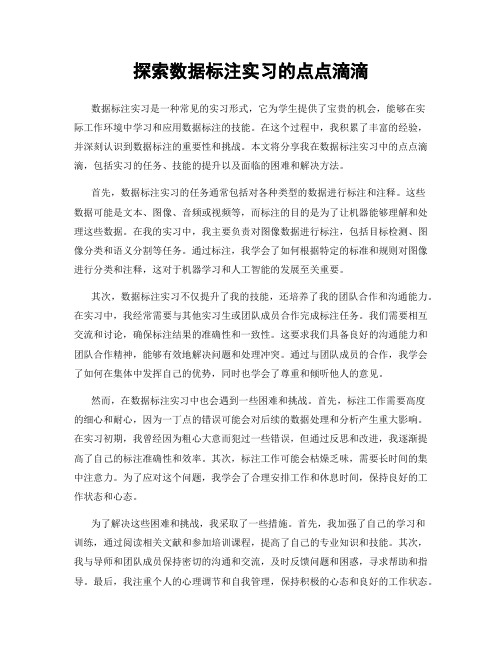 探索数据标注实习的点点滴滴