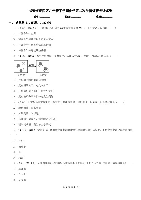 长春市朝阳区九年级下学期化学第二次学情调研考试试卷