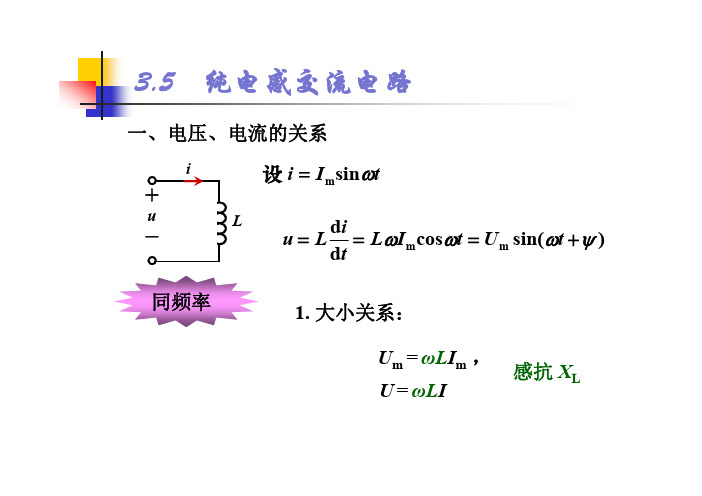 纯电感交流电路