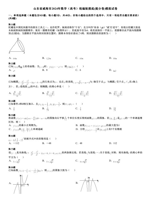 山东省威海市2024年数学(高考)统编版摸底(提分卷)模拟试卷