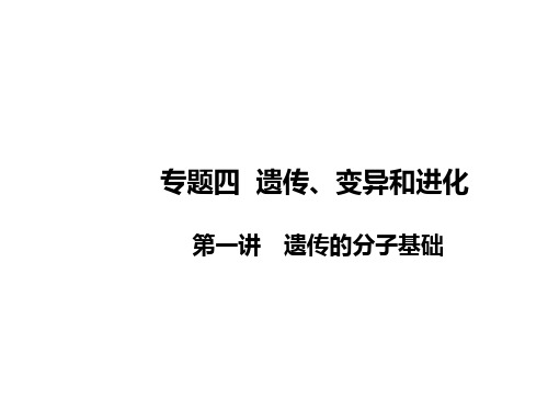 高三生物二轮专题复习：4.1 遗传的分子基础 PPT课件