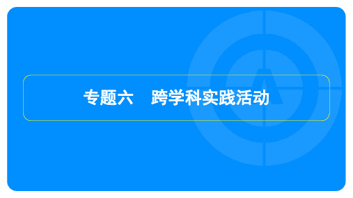 2024年中考化学总复习第二部分专题突破专题六跨学科实践活动