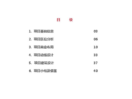 合肥天鹅湖万达案例分析