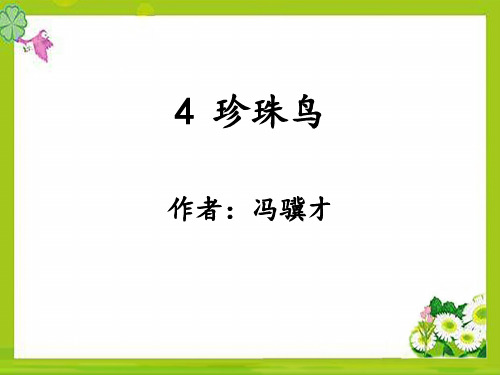 部编版五上语文 4《珍珠鸟》