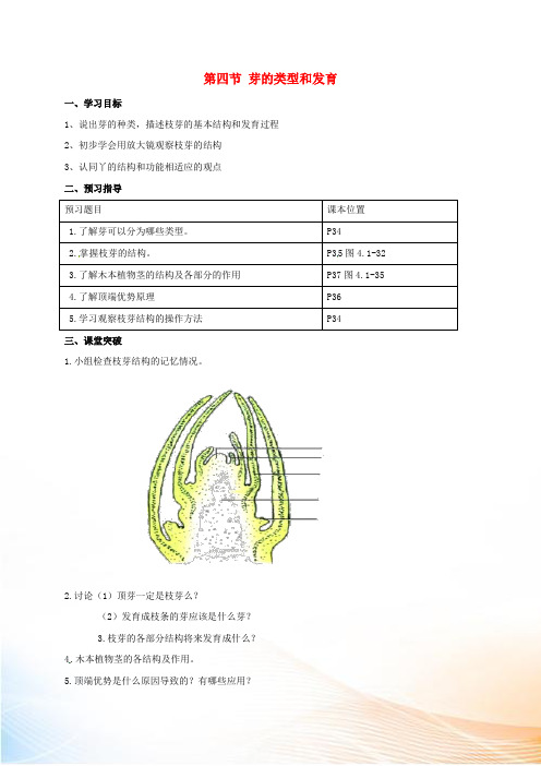 山东省安丘市八年级生物上册 4.1.6 芽的类型和发育导学案(新版)济南版